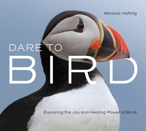 Cover of Dare to Bird