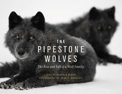 Cover of The Pipestone Wolves