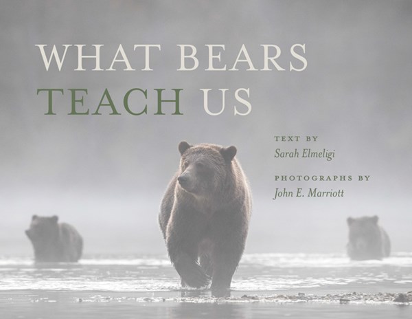 Cover of What Bears Teach Us