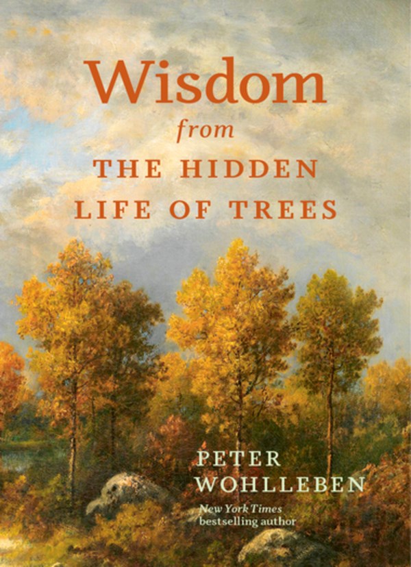 Cover of Wisdom From The Hidden Life of Trees