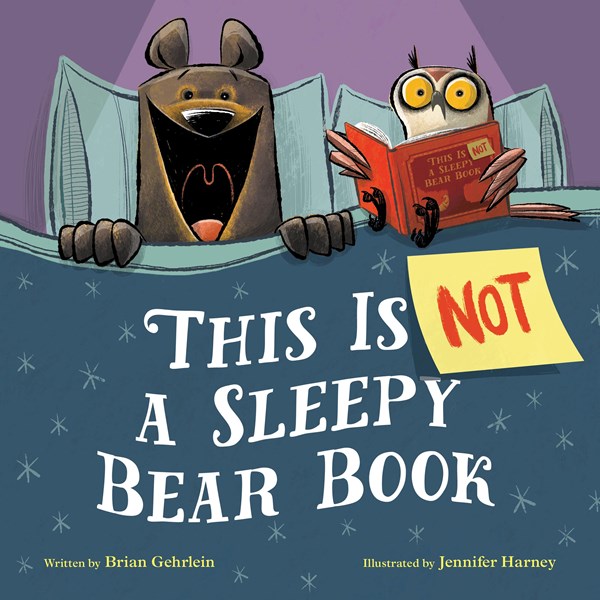 Cover of This Is Not a Sleepy Bear Book