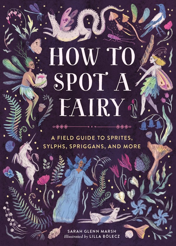 Cover of How to Spot a Fairy